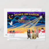 クリスマスサンライズ – 3スピノイタリアンネス シーズンポストカード (正面/裏面)