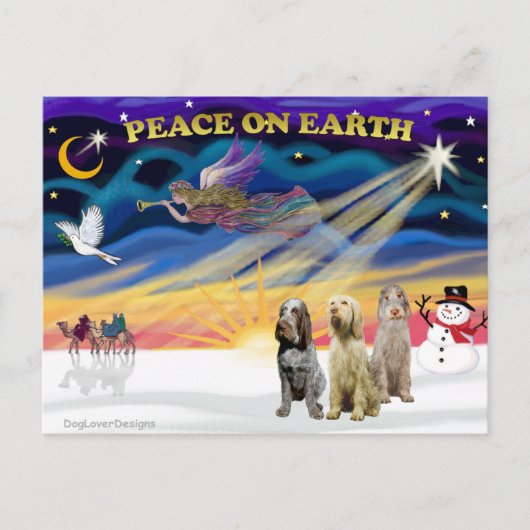 クリスマスサンライズ – 3スピノイタリアンネス シーズンポストカード (正面)