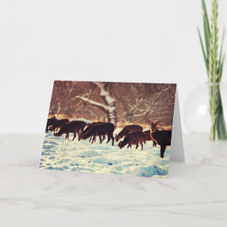 クリスマスシカ シーズンカード