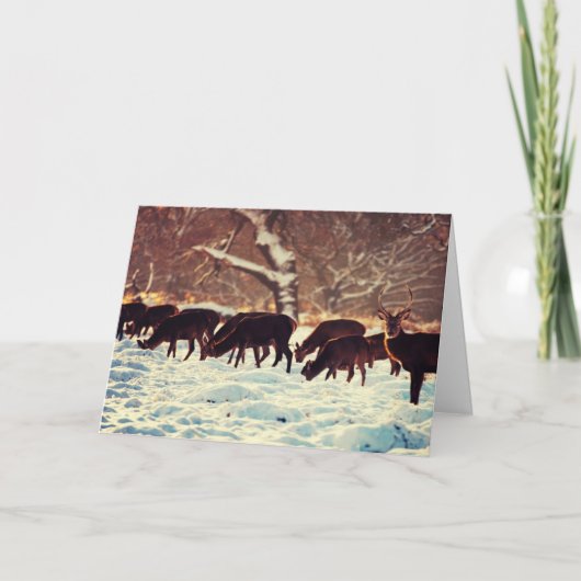 クリスマスシカ シーズンカード (正面)