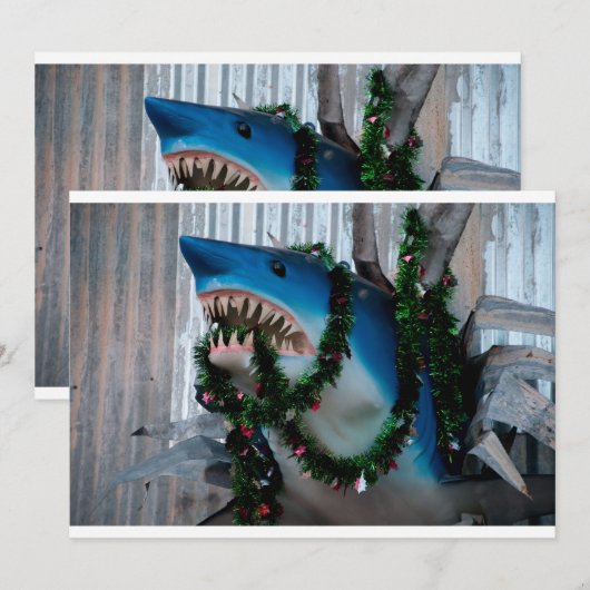 クリスマスシャークの招待 招待状 (正面/裏面)