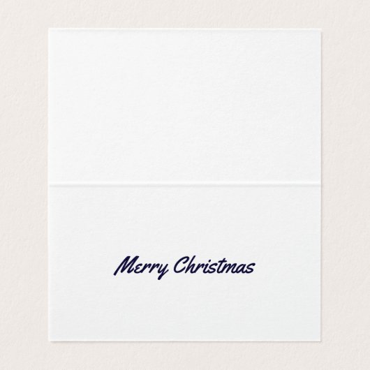 クリスマスシャーク (内部フラット)