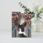 クリスマスショッピングチワワ ポストカード (スタンド正面)