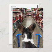 クリスマスショッピングチワワ ポストカード (正面/裏面)