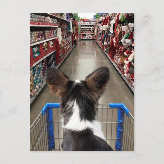 クリスマスショッピングチワワ ポストカード (正面)