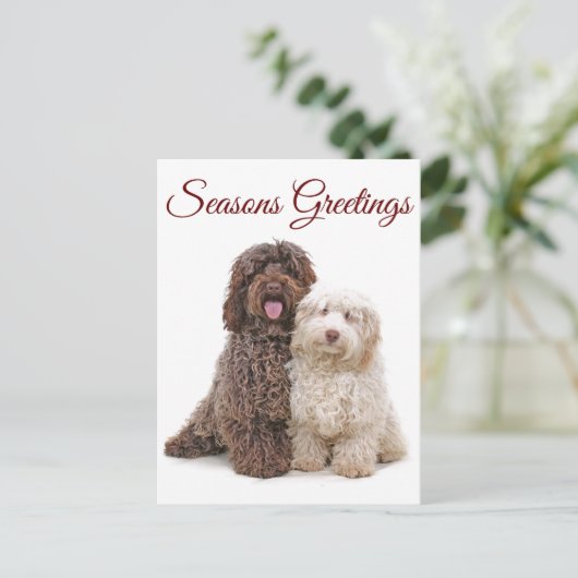 クリスマスシーズンの挨拶 ラブラドゥードルの友達たち ポストカード (スタンド正面)