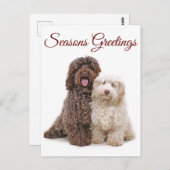 クリスマスシーズンの挨拶 ラブラドゥードルの友達たち ポストカード (正面/裏面)