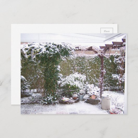 クリスマスシーズン、庭の雪 シーズンポストカード (正面/裏面)