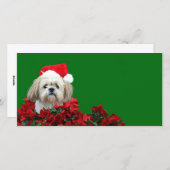 クリスマスシーズー(犬)Tzu シーズンカード (正面/裏面)