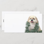 クリスマスシーズー（犬）Tzu シーズンカード (正面/裏面)