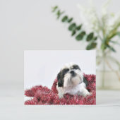 クリスマスシーズー（犬）Tzu シーズンポストカード (スタンド正面)