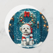 クリスマスシーズー(犬)Tzu Dogs シーズンカード (正面/裏面)