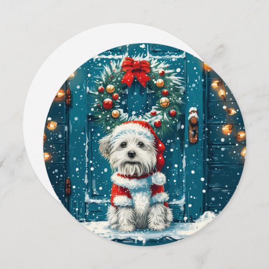 クリスマスシーズー(犬)Tzu Dogs シーズンカード (正面/裏面)