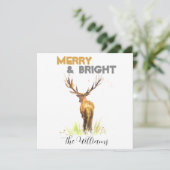 クリスマススタグディアラスティックシックな水のメリー色 シーズンカード (スタンド正面)