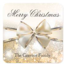 クリスマススターの輝き