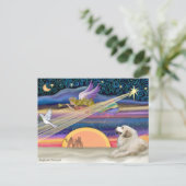 クリスマススター素晴らし- Pyrenees 1 シーズンポストカード (スタンド正面)