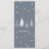 クリスマススター金ゴールドとブルーメニュー メニュー (正面)