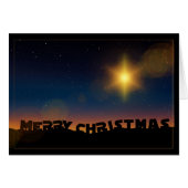 クリスマススター (正面横)