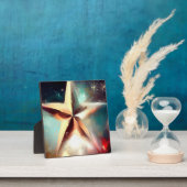 クリスマススター2 フォトプラーク (インサイチュ)