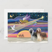 クリスマススター – ひげ付きコリー(2) シーズンポストカード (正面/裏面)