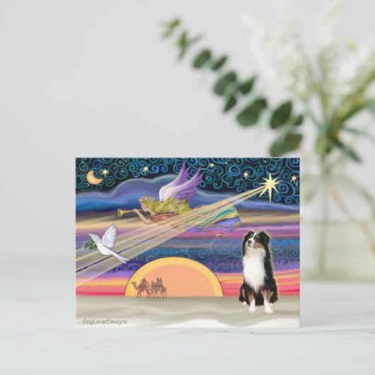 クリスマススター – オーストラリアの羊飼い(Tri) シーズンポストカード (スタンド正面)