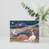 クリスマススター-カヴァリエ（ブレンハイム） シーズンポストカード (スタンド正面)