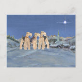 クリスマススター シーズンポストカード (正面)