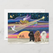 クリスマススター-プードルズ（3本のおもちゃ）- シーズンポストカード (正面/裏面)