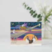 クリスマススター – 2シェットランド・ シープドッグ シーズンポストカード (スタンド正面)