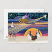 クリスマススター – 2シェットランド・ シープドッグ シーズンポストカード (正面/裏面)