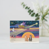 クリスマススター – Brown and Orange Tabby cats (2) シーズンポストカード (スタンド正面)