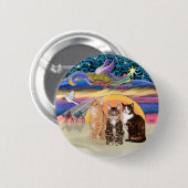 クリスマススター(R) – 猫3匹(AmSH) 缶バッジ (正面&裏面)