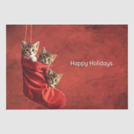 クリスマスストッキングのタオシュペーパーに入った3匹の子猫 薄葉紙