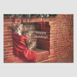 クリスマスストッキングのティッシュペーパーにいる3匹の子猫 薄葉紙