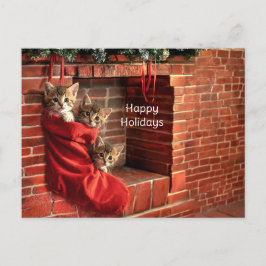 クリスマスストッキングの中の3匹の子猫 ポストカード