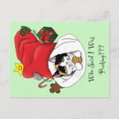 クリスマスストッキングの子猫 シーズンポストカード (正面)