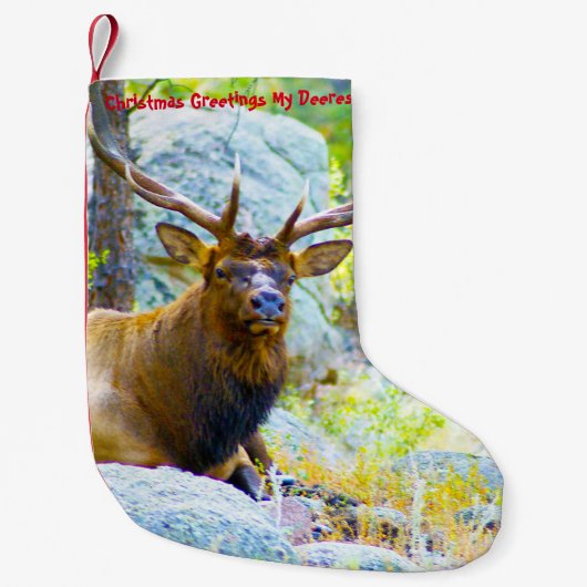 クリスマスストッキングマイオールドディーレスト スモールクリスマスストッキング (正面)