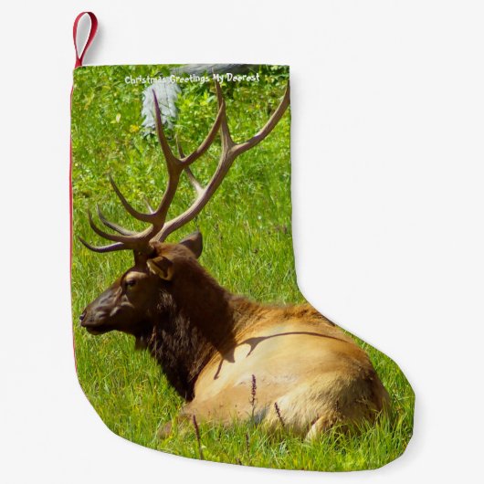 クリスマスストッキングマイオールドディーレスト スモールクリスマスストッキング (正面)