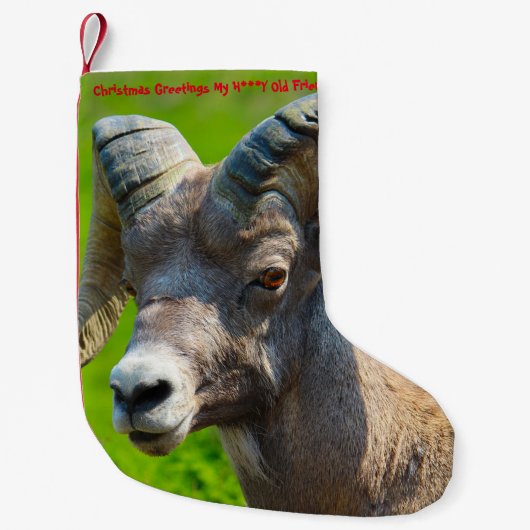 クリスマスストッキングマイハニーオールドフレンド スモールクリスマスストッキング (正面)