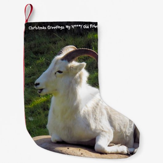 クリスマスストッキングマイハニーオールドフレンド スモールクリスマスストッキング (正面)