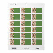 クリスマスストッキング子猫住所 シール (フルシート)