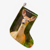 クリスマスストッキング (正面 (吊り時))
