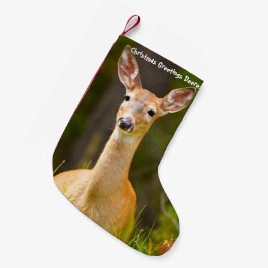 クリスマスストッキング (正面 (吊り時))