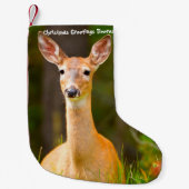 クリスマスストッキング (正面)