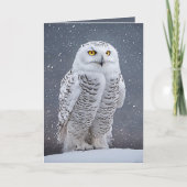 クリスマススノーフクロウ シーズンカード (正面)