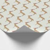 クリスマススプリングボク ラッピングペーパー (角)