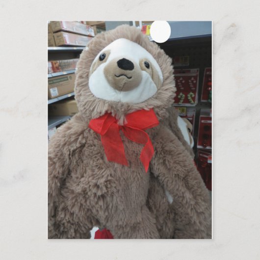 クリスマススロース ポストカード (正面)