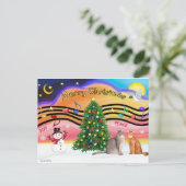 クリスマスズサンライズ2アビシニアンの猫2匹 シーズンポストカード (スタンド正面)