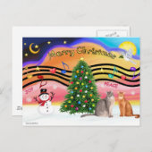 クリスマスズサンライズ2アビシニアンの猫2匹 シーズンポストカード (正面/裏面)