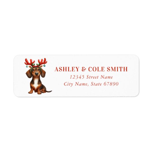 クリスマスダシュント差出人住所ラベル ラベル (正面)